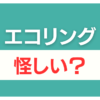 エコリング 怪しい